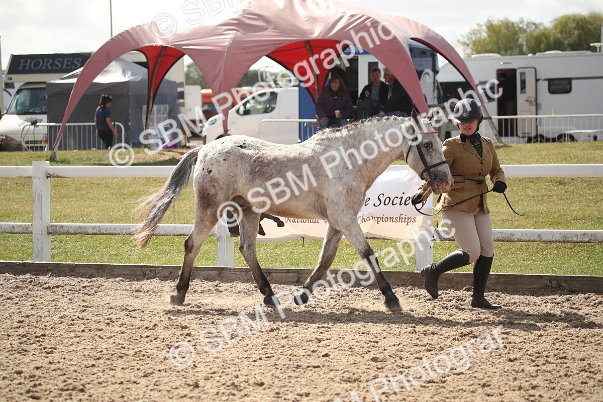 SBM_23396 - Class 604 - 2026 - Area IH Diamond