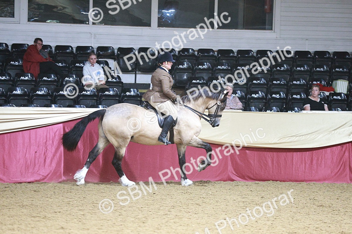 SBM_09020 - Class 12R - Regional Ridden Pre-Vet