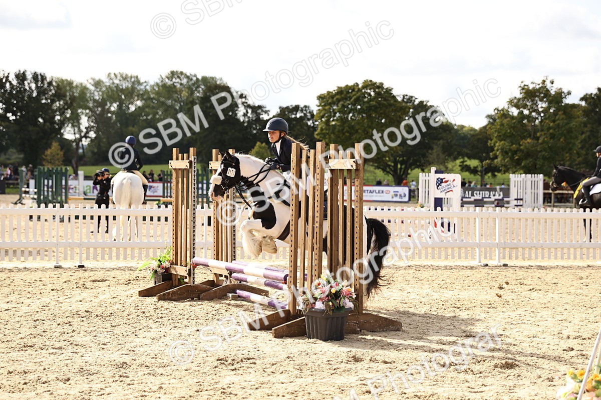 SBM_62126 - J12 - Junior Pony 55cm Championship