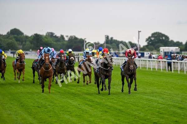 120724-Race 4-Karmology-6117 - Race 4 3.50pm Azets Handicap