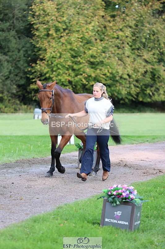 251026A-102652-22994 - E-386-Zara.Head