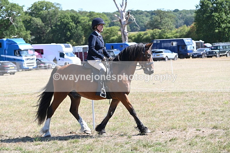 WJ6_8231 - Class 37a Best Loan Pony Ridden