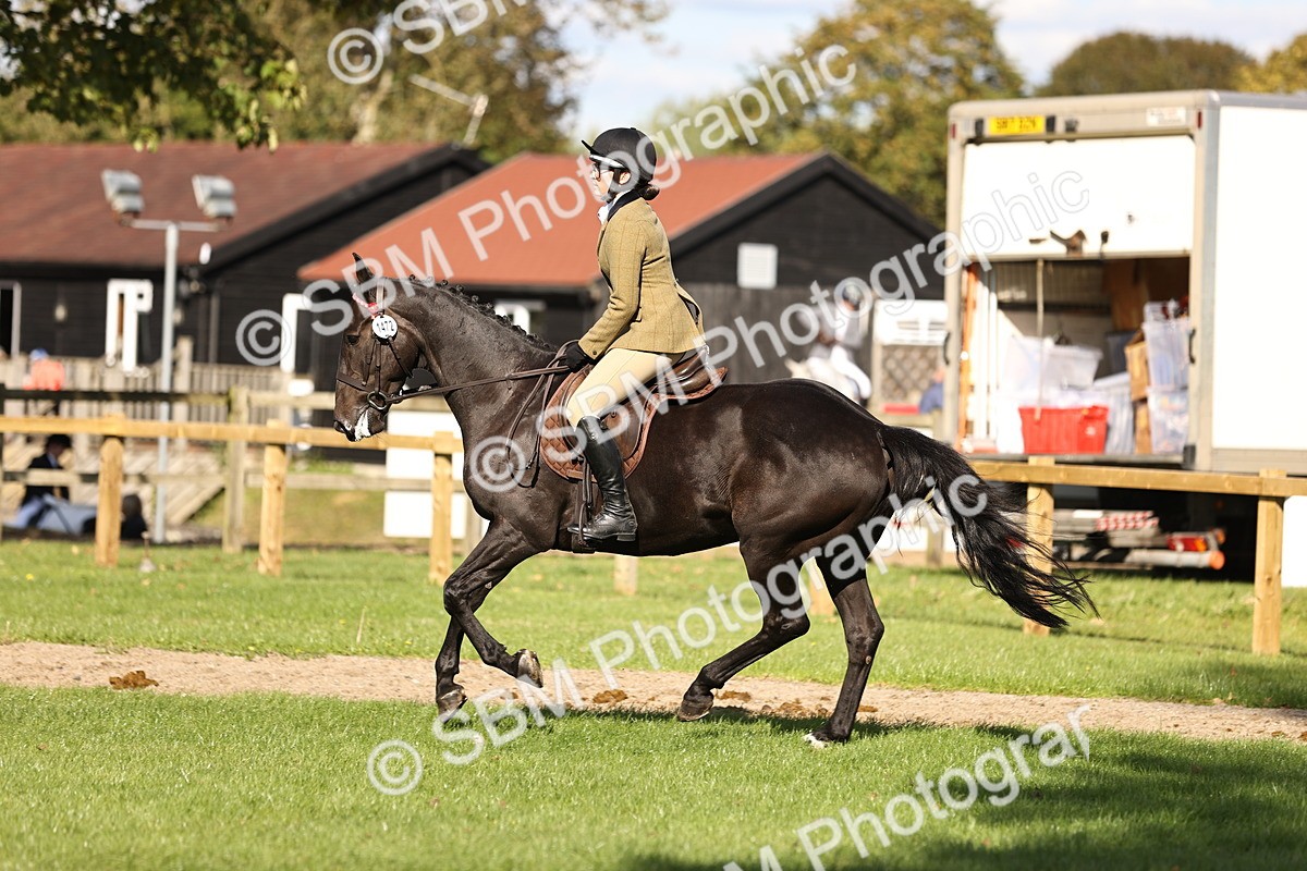 SBM_26390 - S6 - Novice & Newcomers Ridden Horse