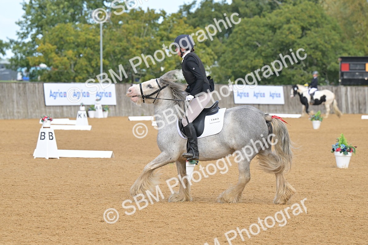 SBM_03750 - D2 - Small Tour Championship Intro 2