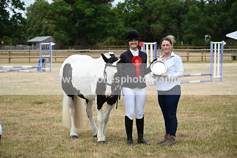 WJ6_4441 - Class 10 Coloured In-hand