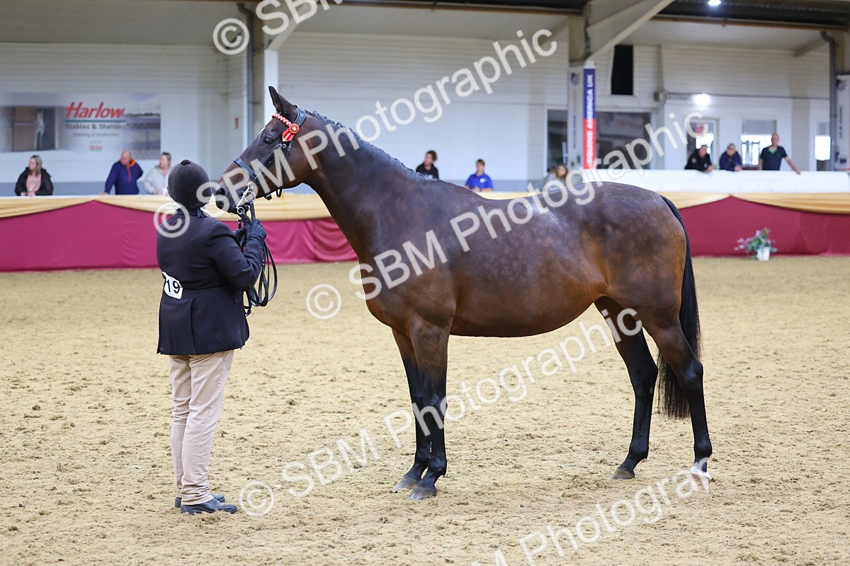 SBM_19485 - Class 901 - Supreme Final - IH Diamond