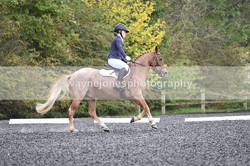 WJ7_3725 - Time 11:04 to 11:38