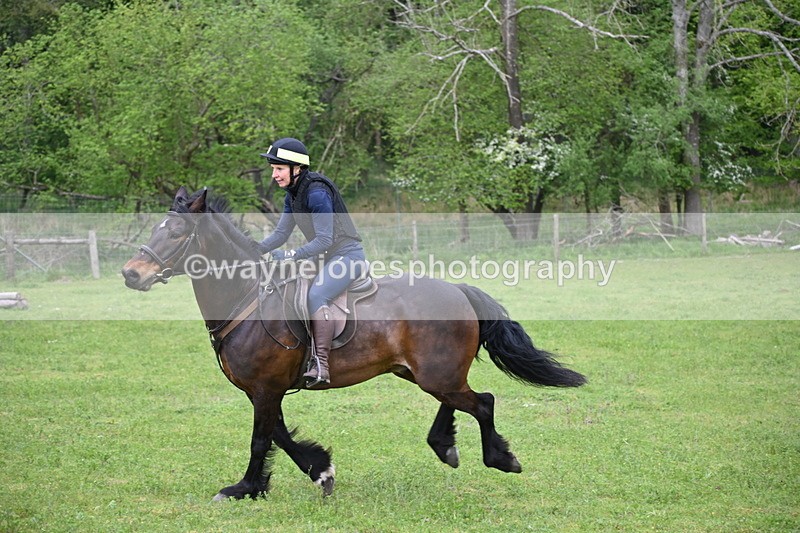 WJ6_2702 - A camera