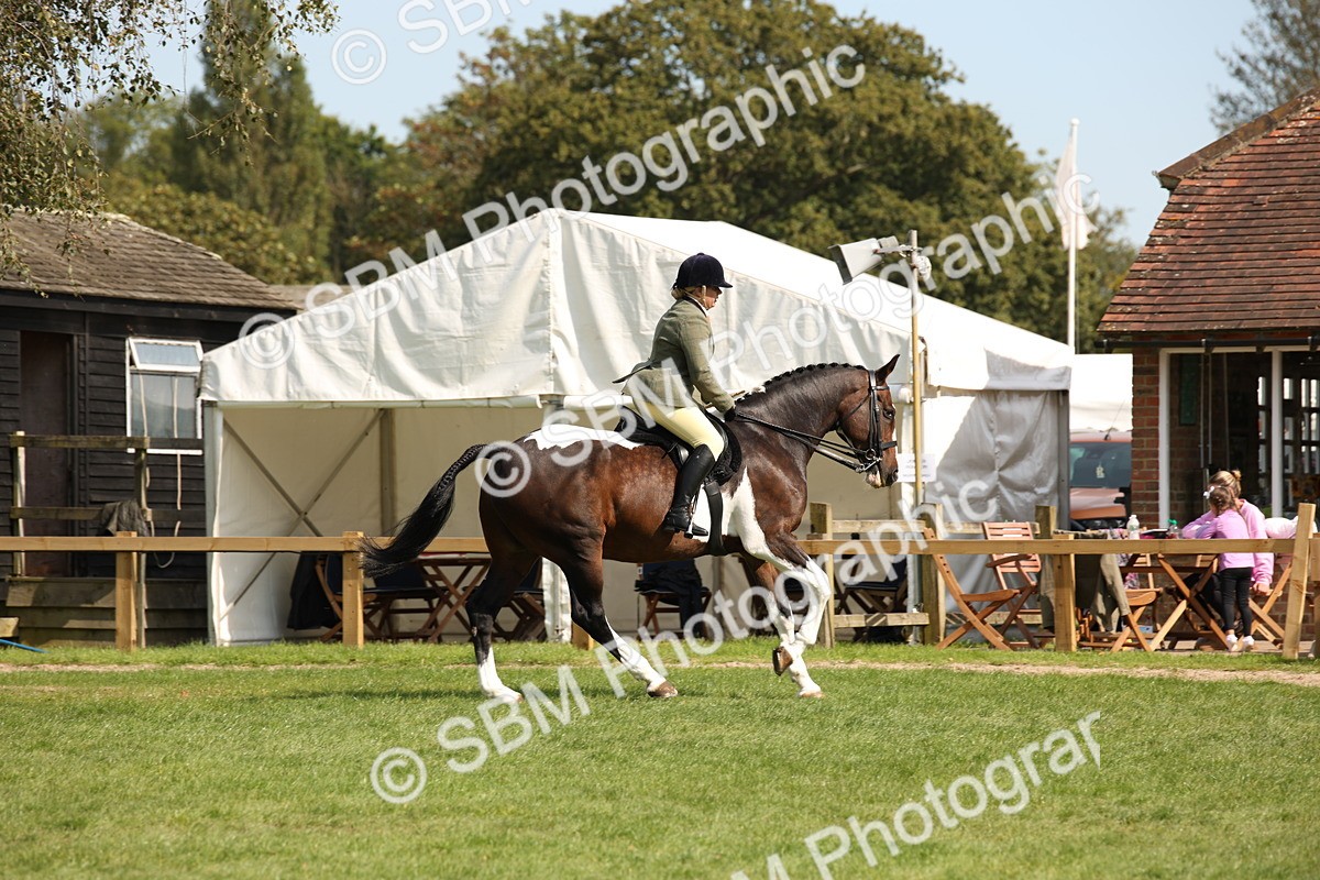 SBM_70075 - S65 - Piebald & Skewbald Horse Ridden