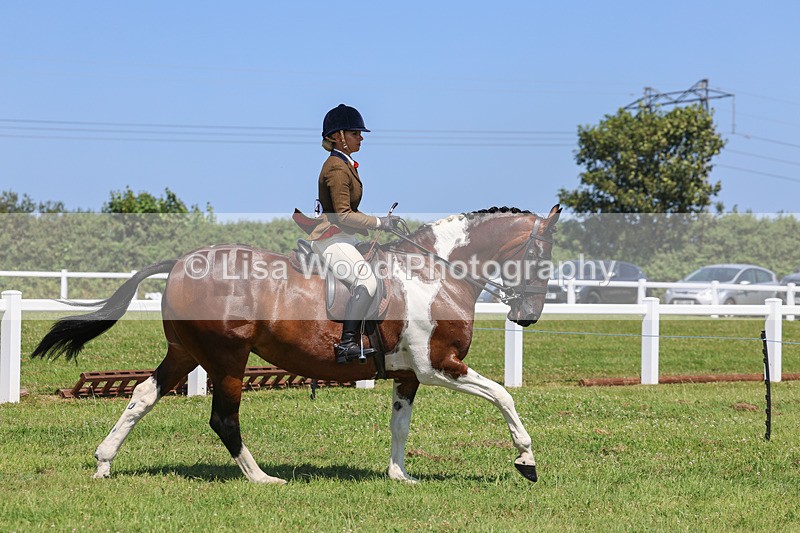 IMG_2344 - Class 38: Veteran Ridden