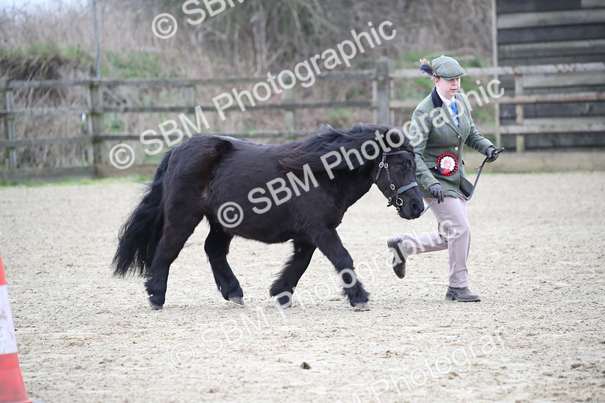 SBM_004075 - Class 1-4 - Young Stock classes Inc. In Hand Championship