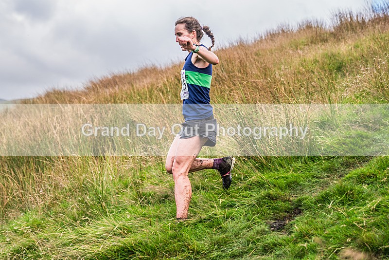Steel Fell-452 - Steel Fell Race Wednesday 7th August 2024