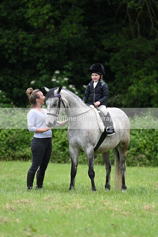 WJ7_4212 - Class 14A Handsome Gelding