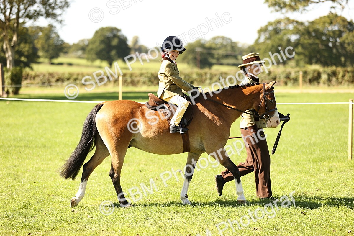 SBM_19209 - S3 - TSR Ridden Pony Showing