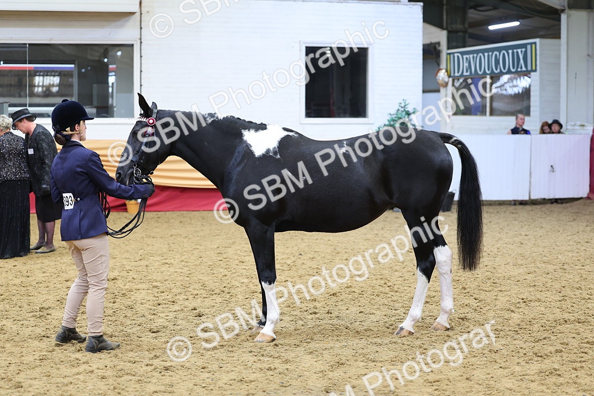 SBM_22869 - Class 903 - Supreme Final - IH Pre Vet