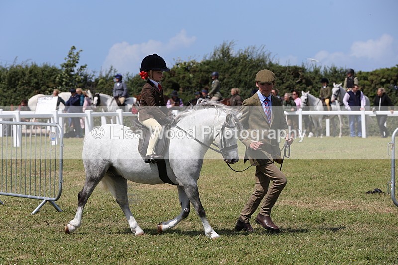 1X9A5162 - Class 36: NPS M&M Lead Rein