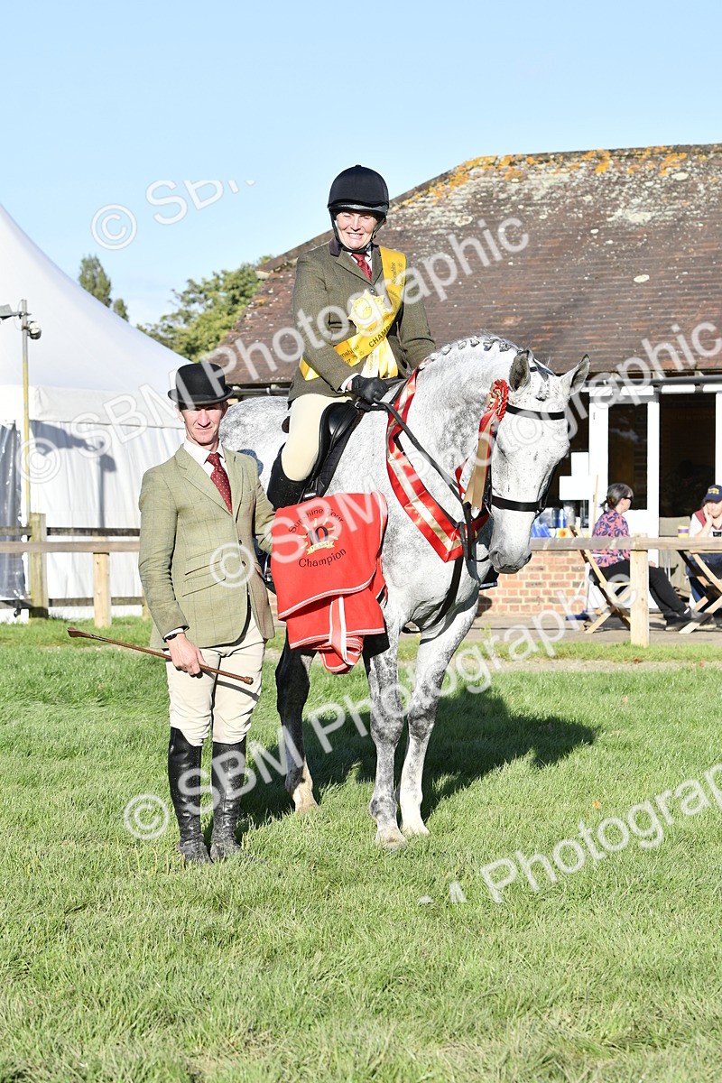 SBM_51762 - Working Hunter Supreme Championship