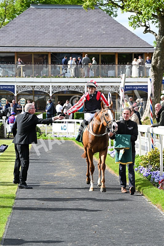150526-Race 6-Fortification-8492 - Race 6 4.40pm Irish Thoroughbred Marketing Handicap