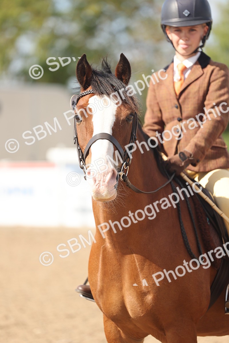 SBM_23162 - Class 806 - Young Rider 10ry and Under