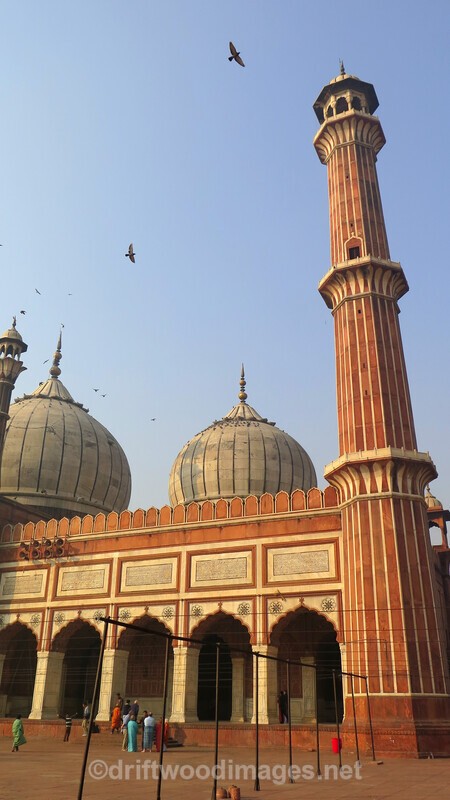 Delhi Jama Masjid minaret 2 - Delhi