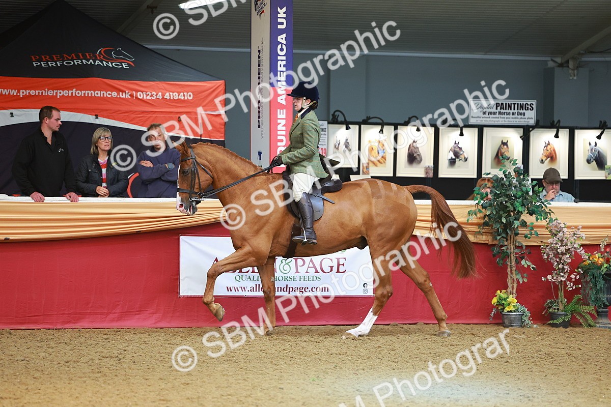 SBM_09705 - Class 102 - HOYS Veteran Qualifier - Ridden Veteran