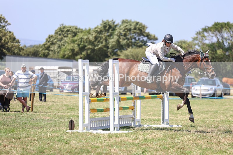 3E7A4353 - Class 10: Senior British Novice/90cm open