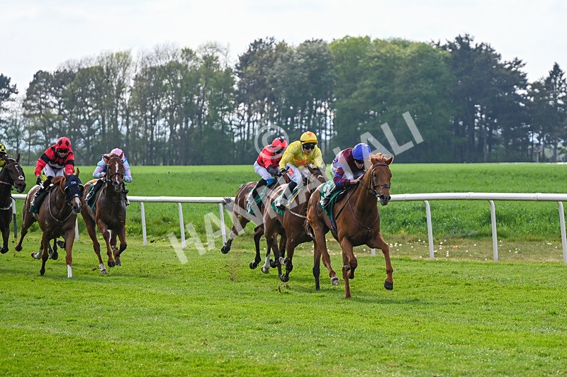 020526-Race 7-Rising Force-0241 - Race 7 5.00pm Sky Bet Irish Day Saturday 16th May Book Now Handicap