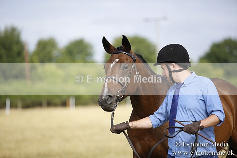 _C7A9114 - BVRC Sow 2018 Ring 2