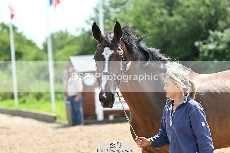 240717A-150957-02600 - Trot Up 3pm to 4pm