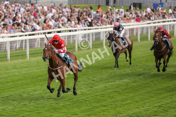 280723-Race 1-Tele Red-2663 - Race 1 5.00pm Pearly Cow Handicap