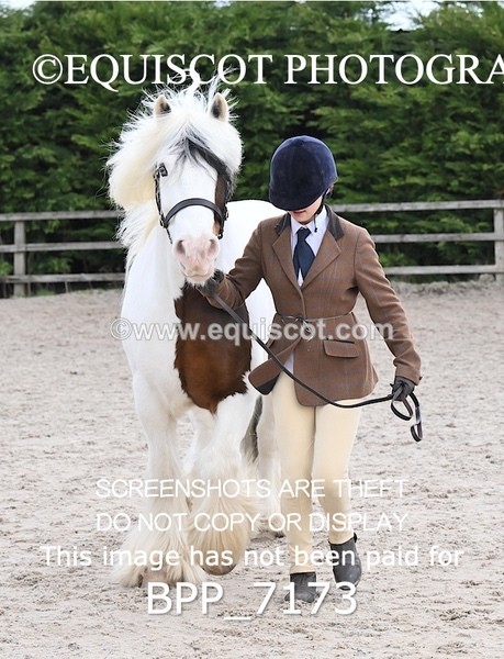 BPP_7173 - RING 1  (RIDDEN HORSES / IN HAND / VETERAN ETC)