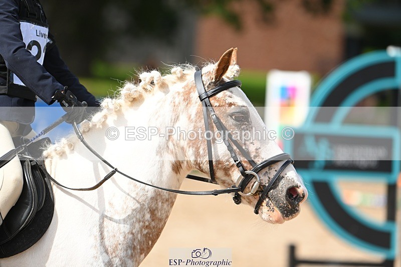 230824-142256-04544 - Round 2 Start to 15.00 coursewalk