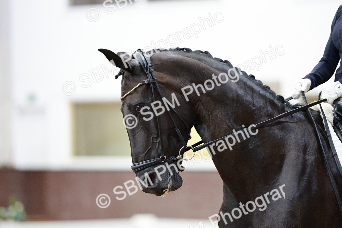 SBM_006145 - Class 3 - Medium 6 - 16.16-17.28