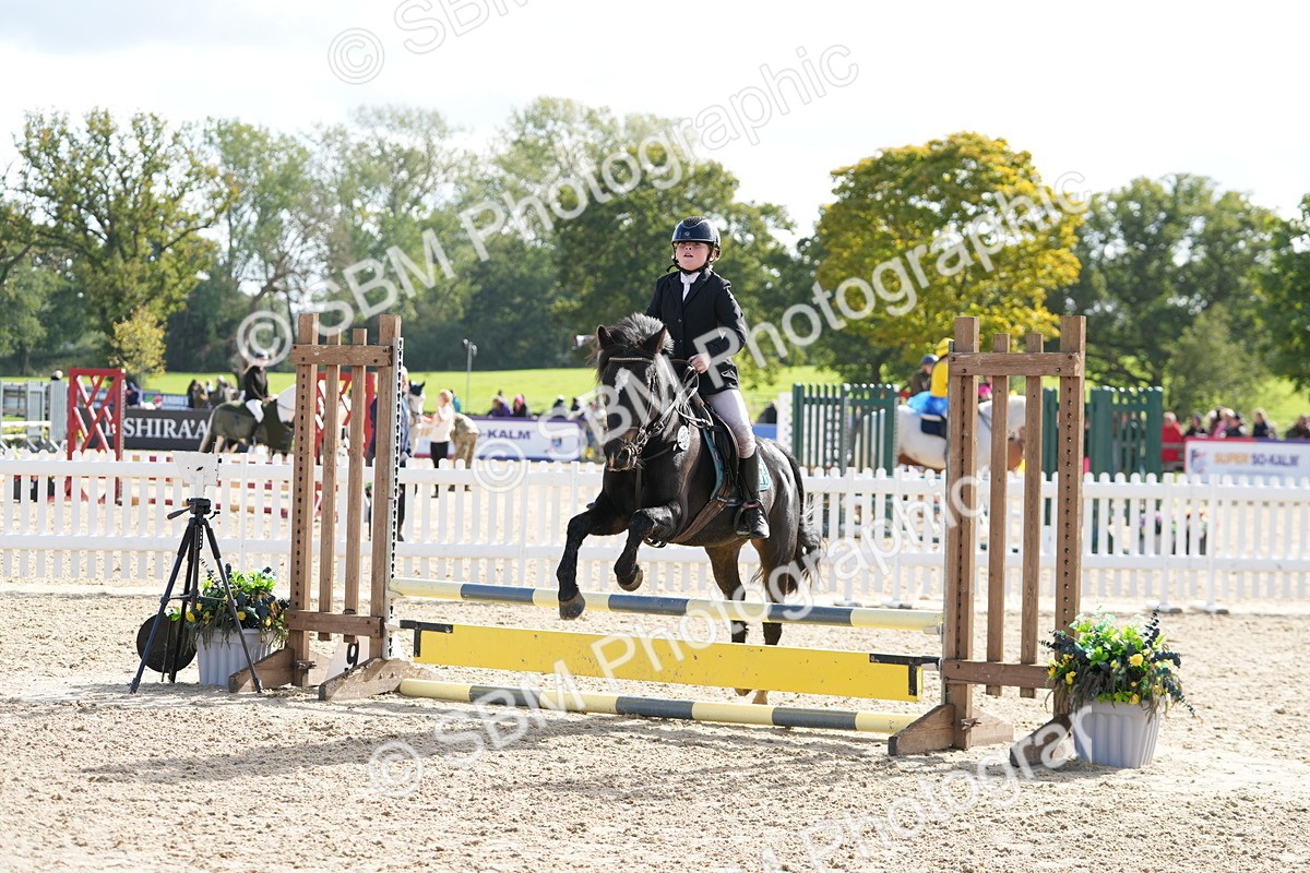 SBM_48451 - J7 - Junior Pony 60cm Championship