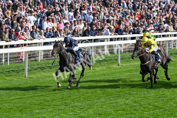 220825-Race 6-Frescobaldi-7748 - Race 6 4.45pm British Stallion Studs EBF Convivial Maiden Stakes