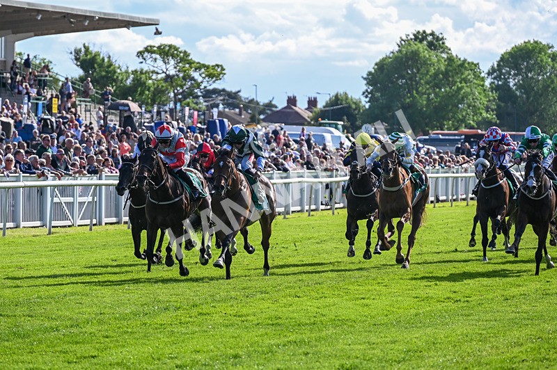 310526-Race 5-Fandom-9074 - Race 5 17.45pm Sky Bet Price Boosts Handicap