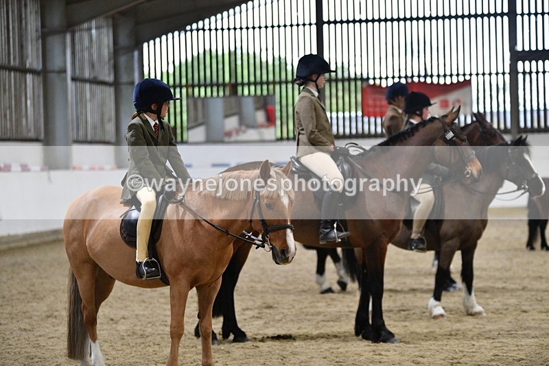 WJ5_8532 - Class 14 Novice Ridden/Rider