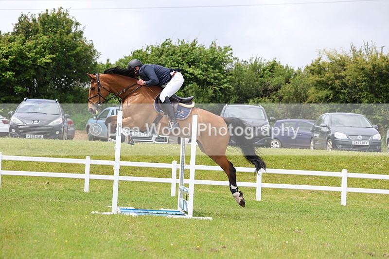 3E7A7061 - Class 12: Senior Foxhunter/1.20 open
