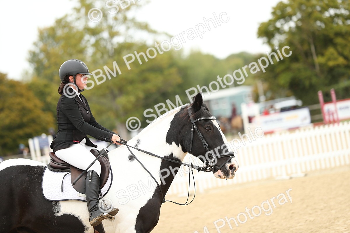 SBM_58773 - J25 - Junior Horse 80cm Championship