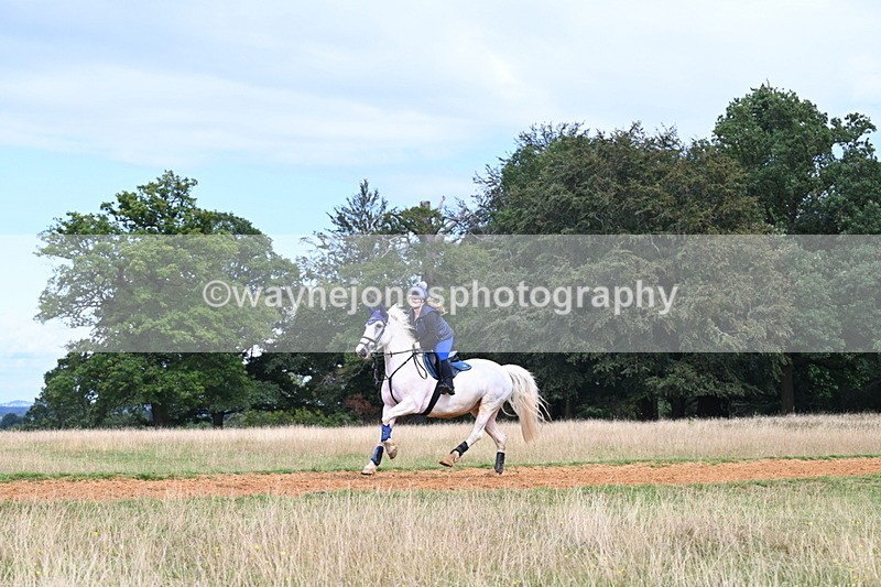 DSC_8799 - Time at Statue 14:33 to 15:10