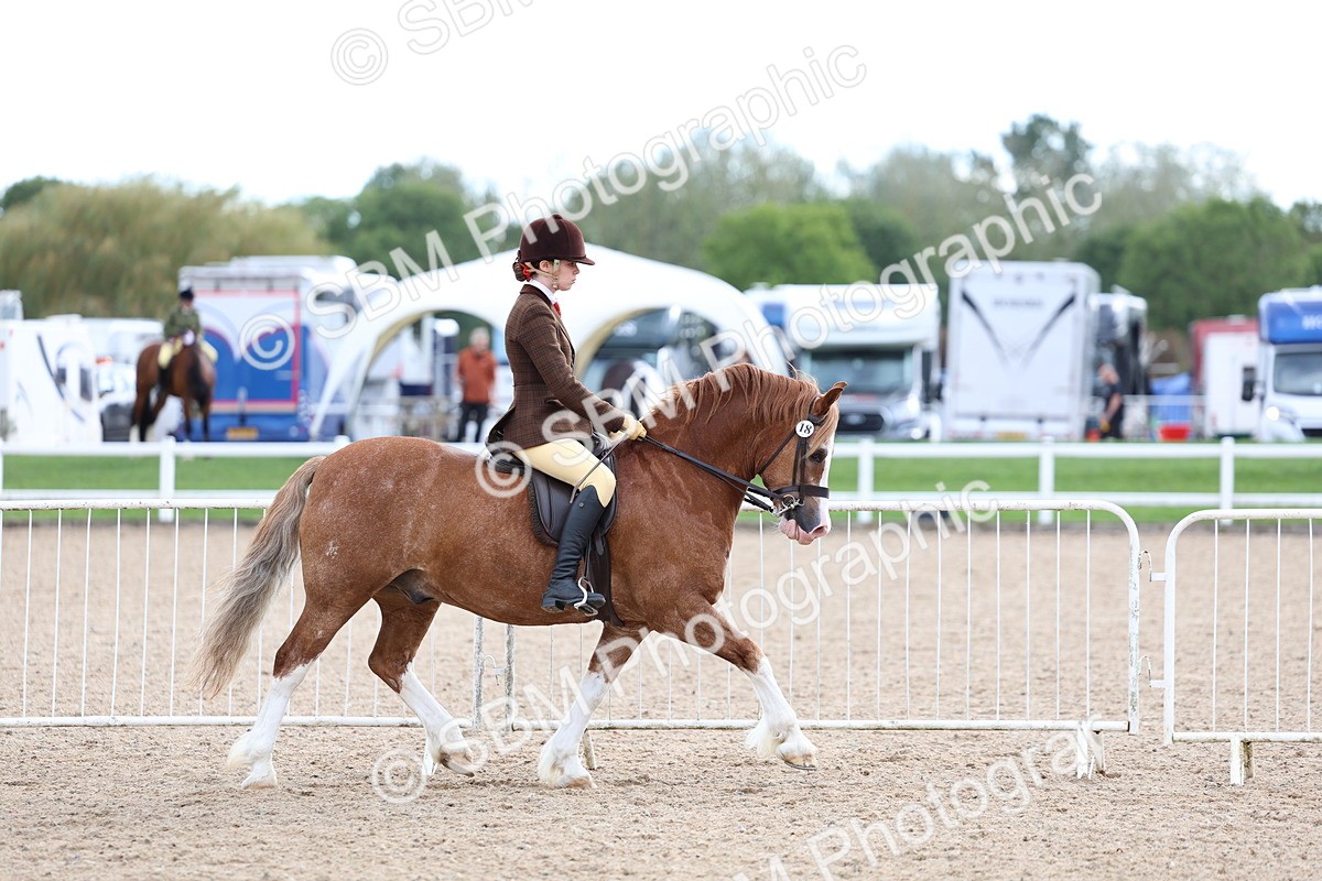SBM_17483 - Class 316 - Best Pony - Rider Combination