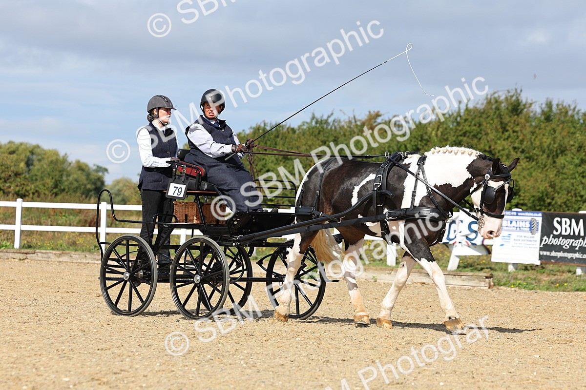 SBM_000887 - Class 8 - Novice Horse or Pony to any vehicle