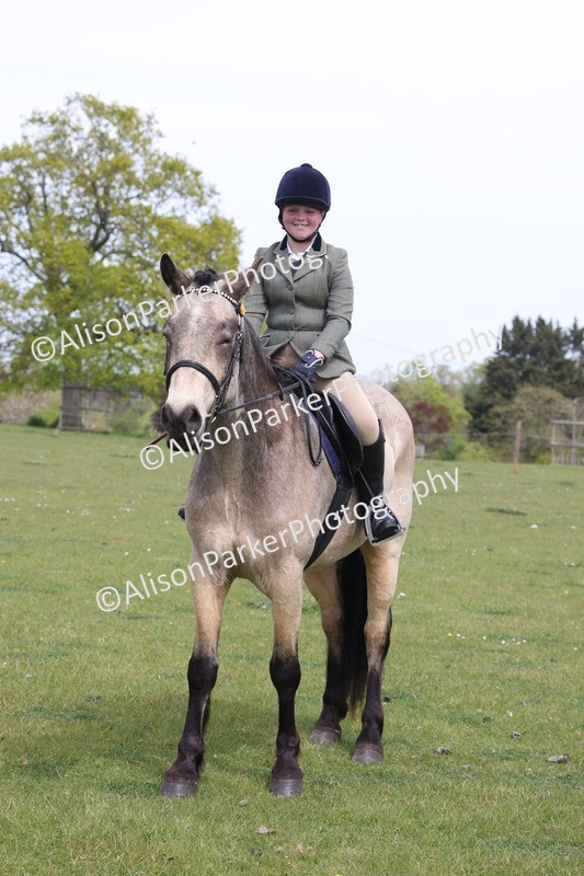 20260426-4374 - Class 34 - Best Riding Horse Over 14.2hh