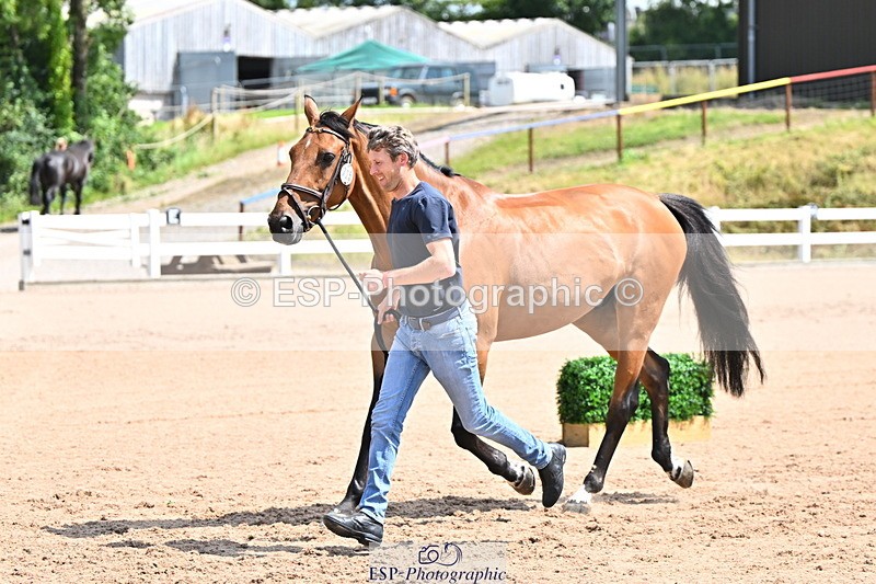 240718A-105242-01057 - Trot Up 11am to 12pm