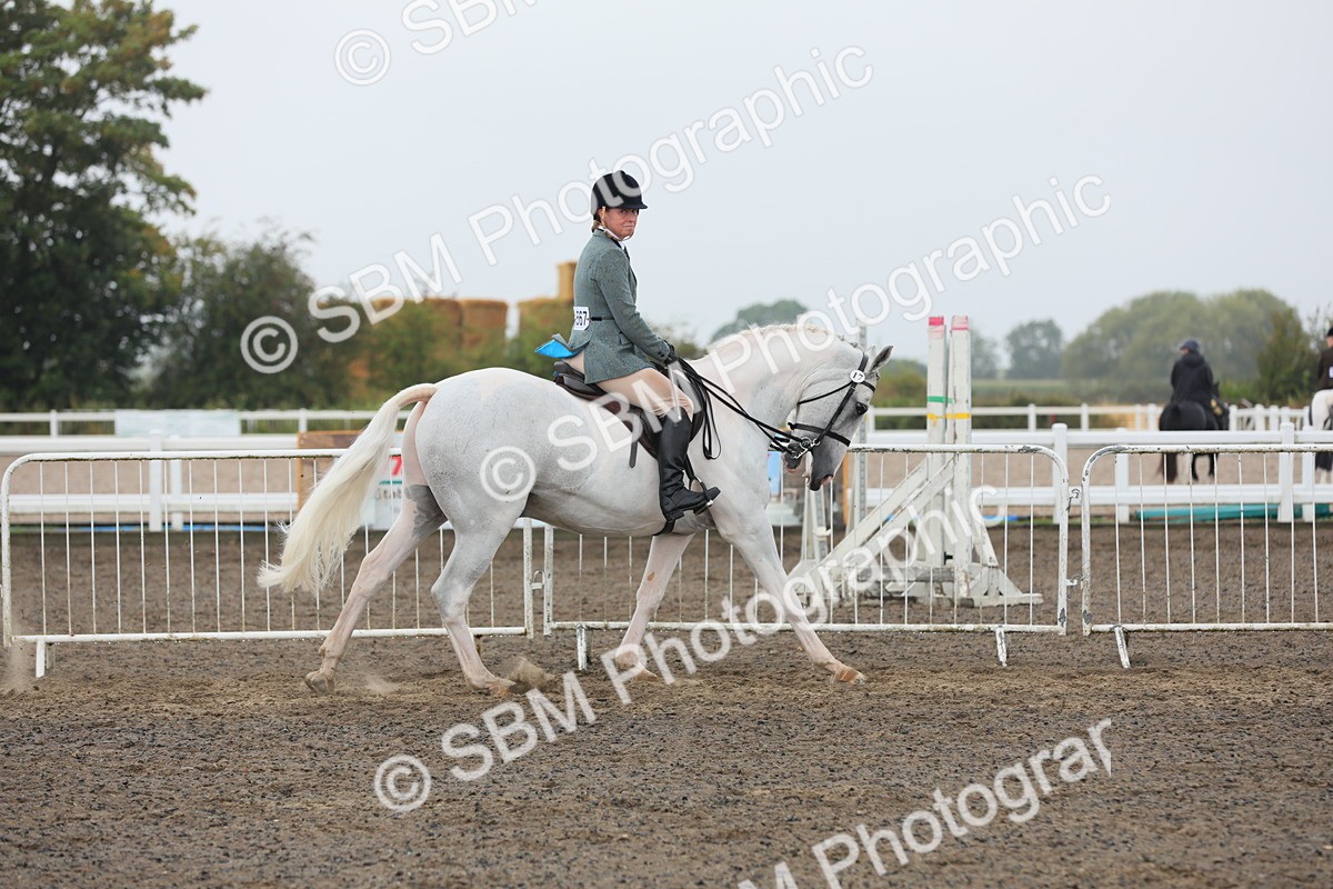 SBM_21242 - Class 805 - Ridden Veteran Horse