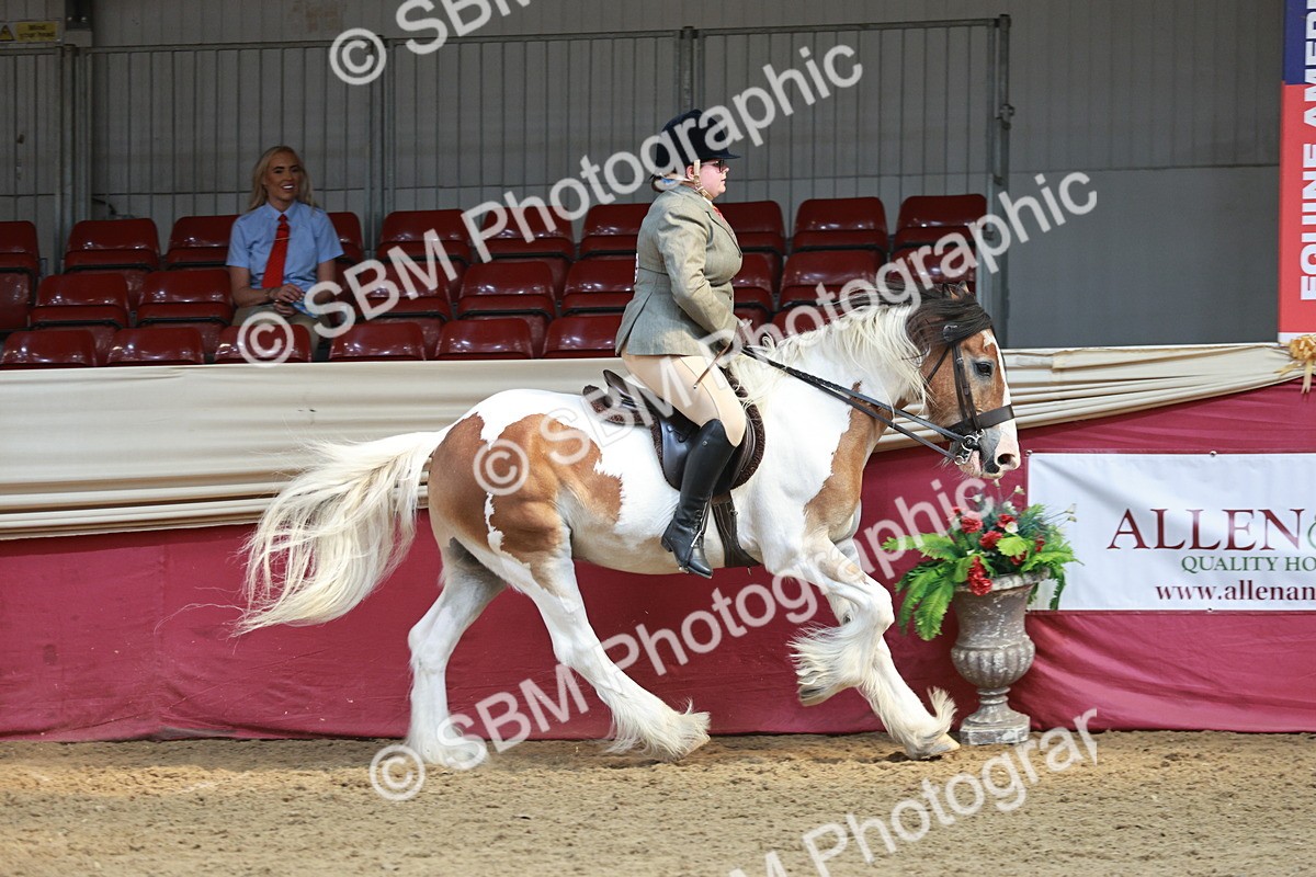 SBM_07001 - Class 10R - Regional Ridden Diamond