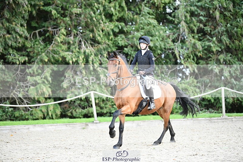 251004A-151039-01706 - Classes 8 & 9 70cm