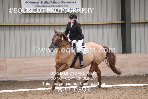 BPP_0593 - 2 - G NEIL
