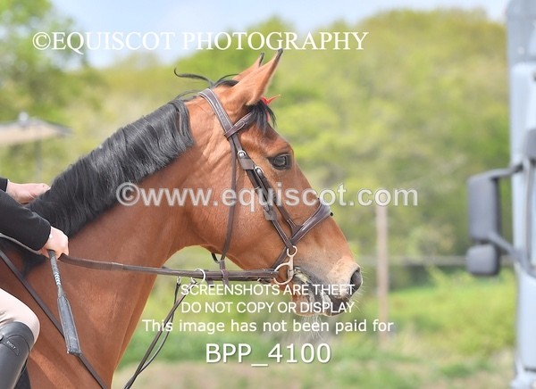 BPP_4100 - CLASS 5 Veterans Show Jumping