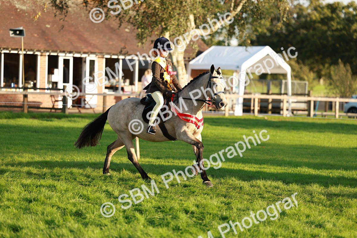 SBM_29350 - Novice & newcomer Supreme Championship